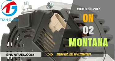 Locating the Fuel Pump in a 2002 Montana: A Guide