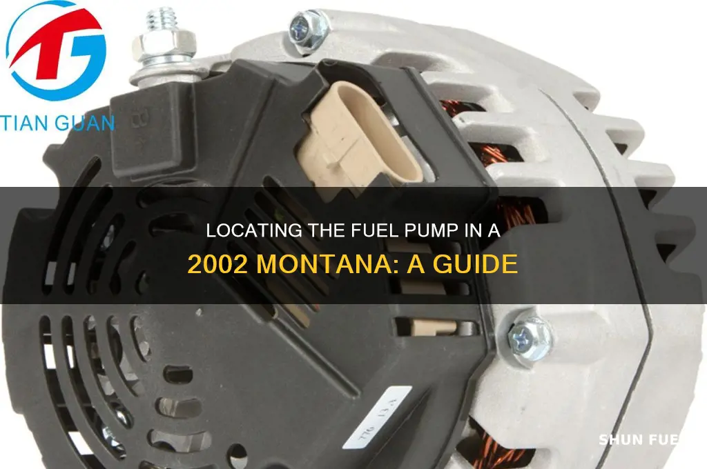 where is fuel pump on 02 montana