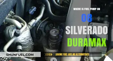 Locate the Fuel Pump on Your 2008 Silverado Duramax Easily