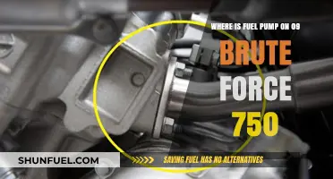 Locate the Fuel Pump on Your 2009 Brute Force 750