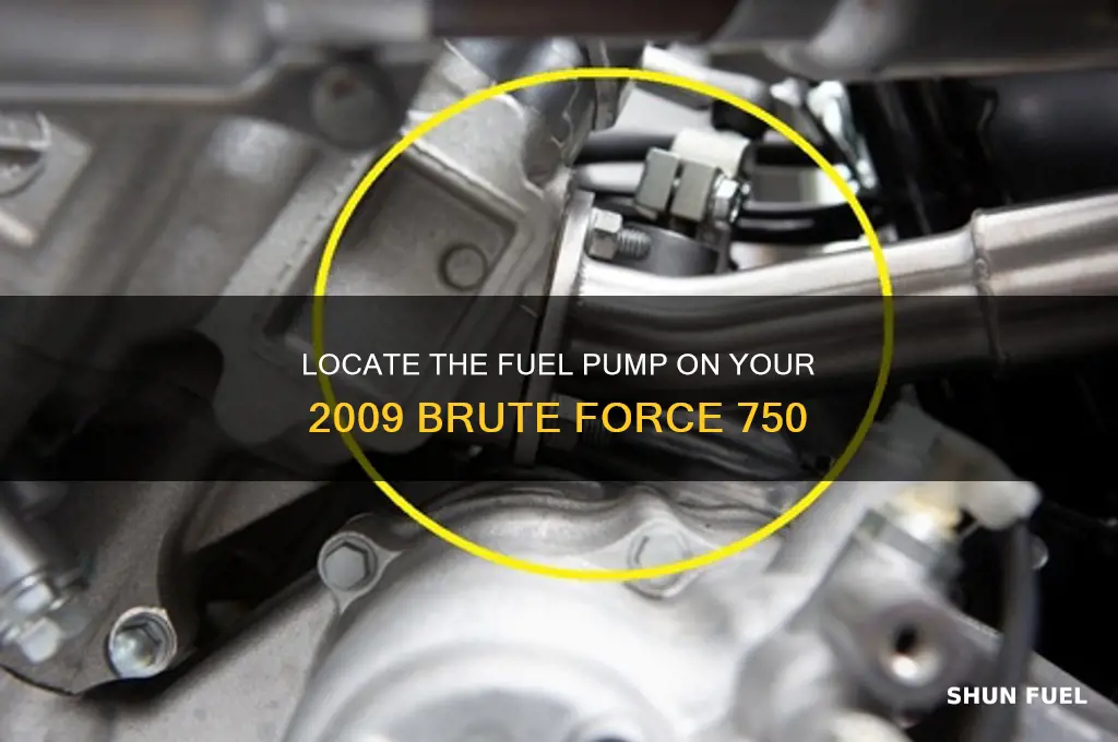 where is fuel pump on 09 brute force 750