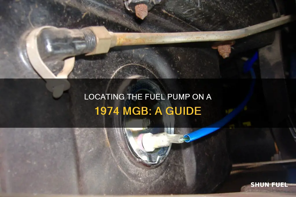 where is fuel pump on 1974 mgb