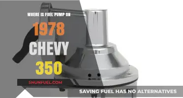 Locating the Fuel Pump on a 1978 Chevy 350 Engine