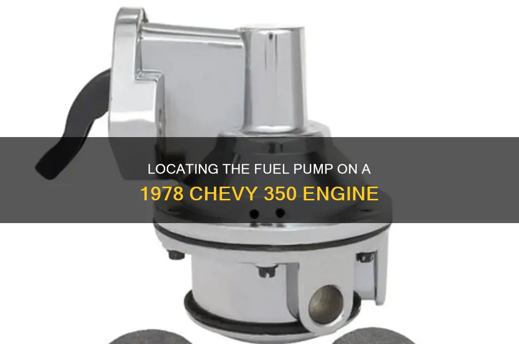 where is fuel pump on 1978 chevy 350