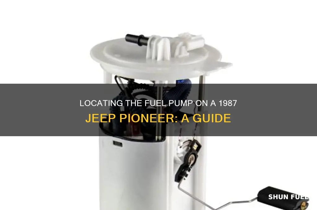 where is fuel pump on 1987 jeep pioneer