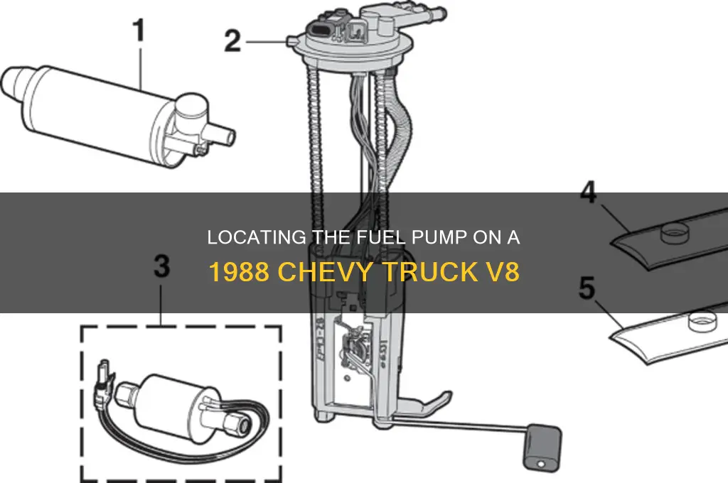 where is fuel pump on 1988 chevy truck 8 cylinder