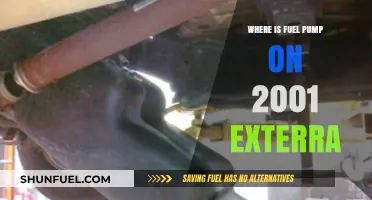 Locating the Fuel Pump on a 2001 Nissan Exterra
