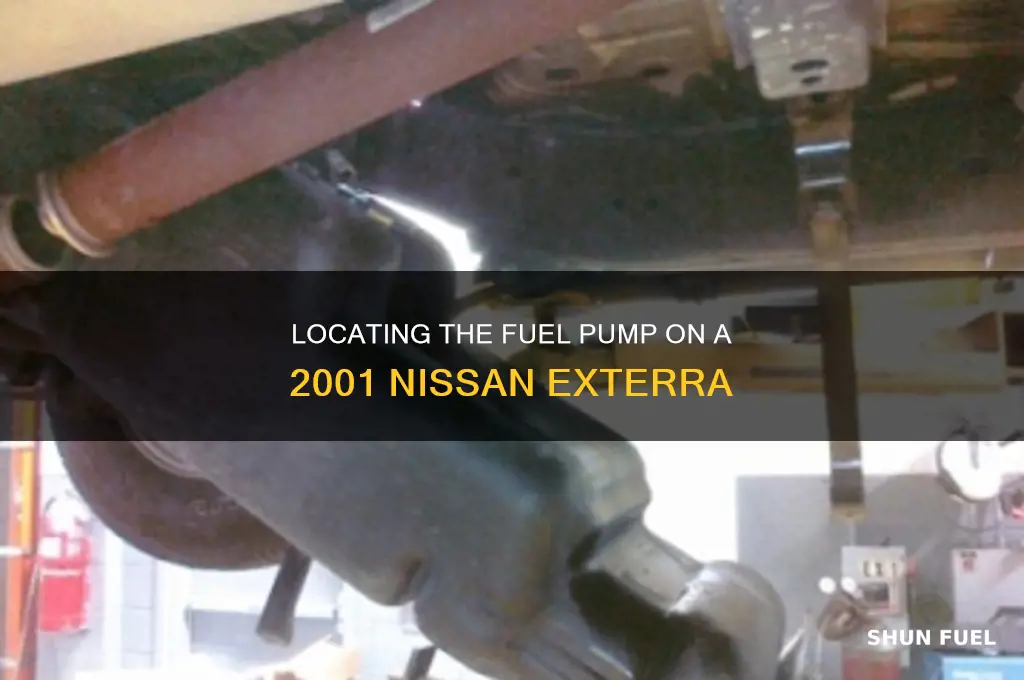 where is fuel pump on 2001 exterra