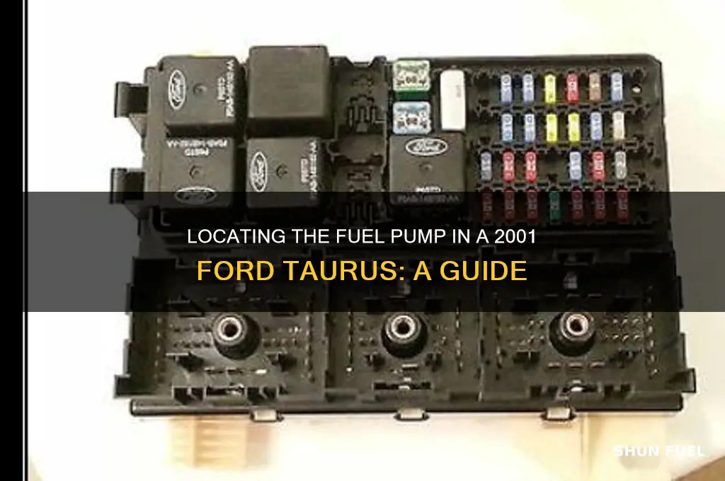 where is fuel pump on 2001 ford taurus