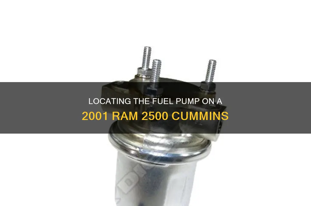 where is fuel pump on 2001 ram 2500 cummins