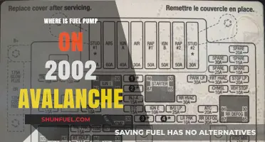 Locating the Fuel Pump in a 2002 Avalanche: A Guide