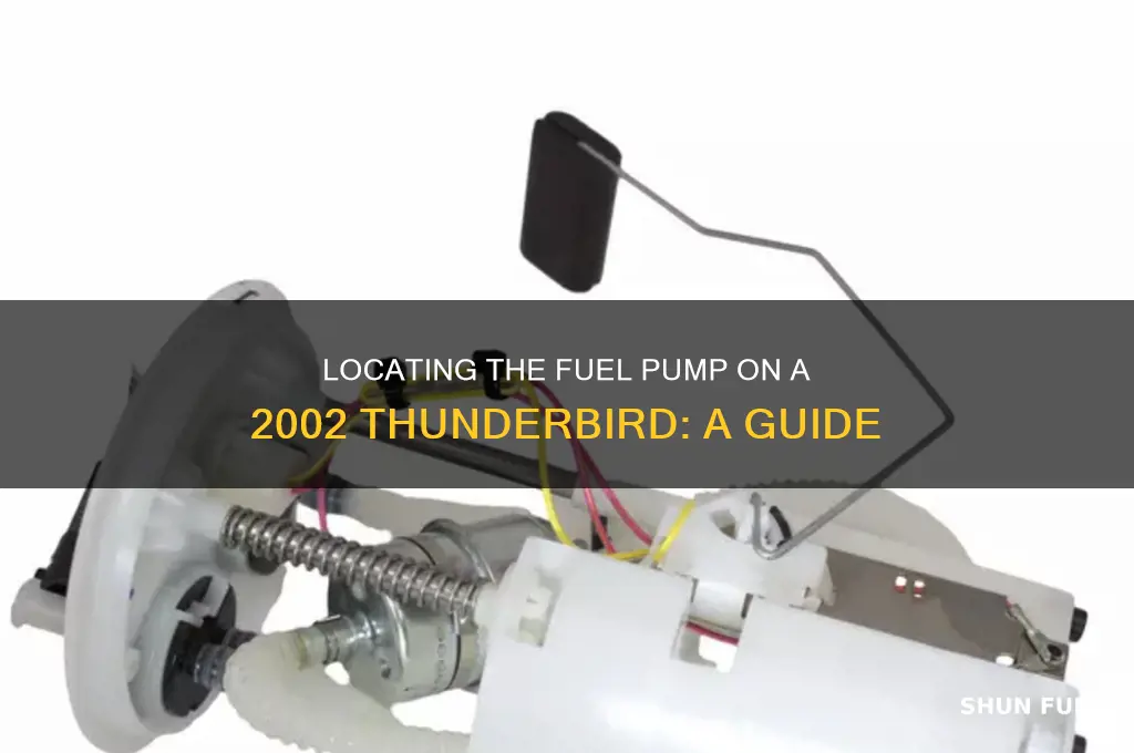 where is fuel pump on 2002 thunderbird