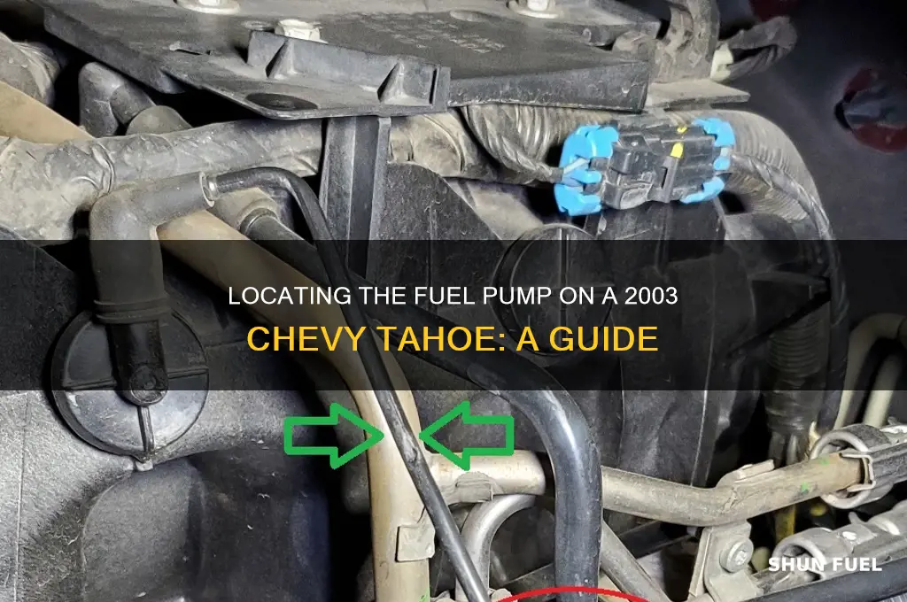 where is fuel pump on 2003 chevy tahoe