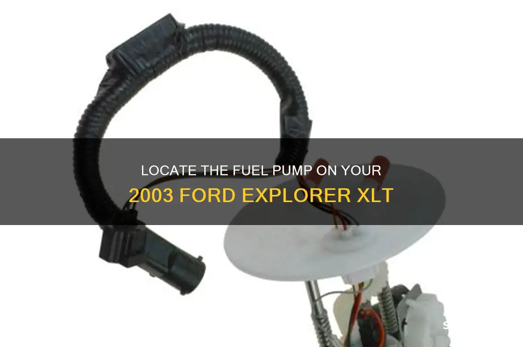 where is fuel pump on 2003 ford explorer xlt