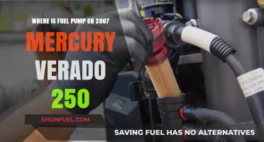Locate the Fuel Pump on a 2007 Mercury Verado 250
