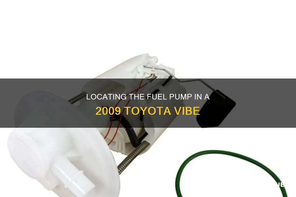 where is fuel pump on 2009 vibe