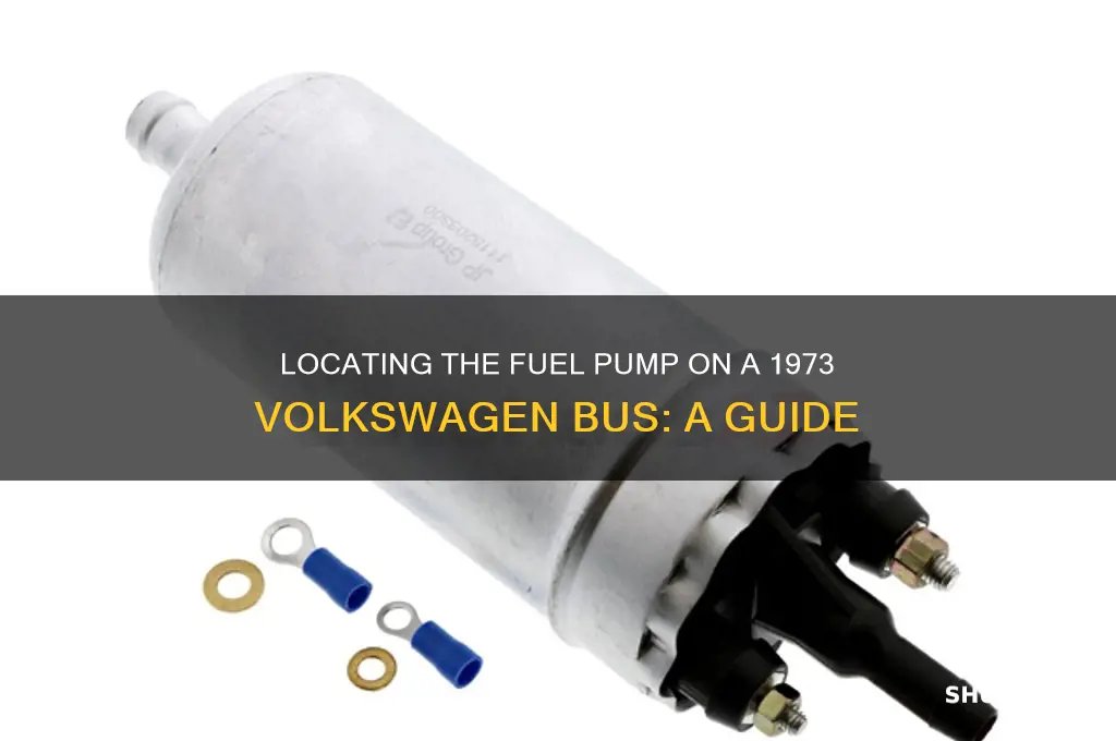 where is fuel pump on 73 bus