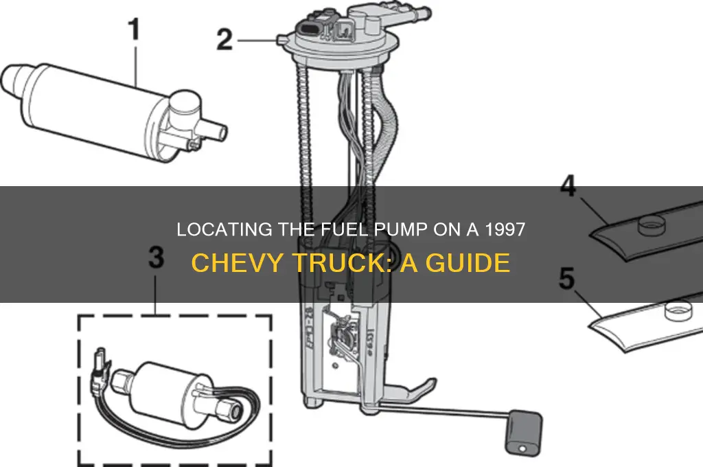 where is fuel pump on 97 chevy truck