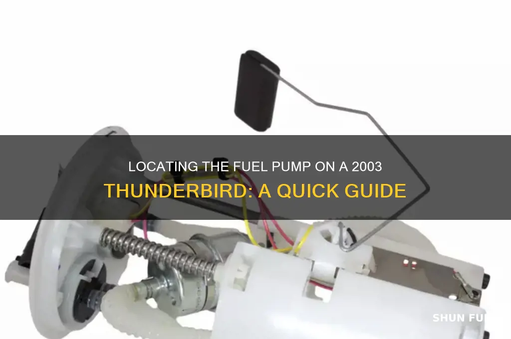 where is fuel pump on a 2003 thinderbird