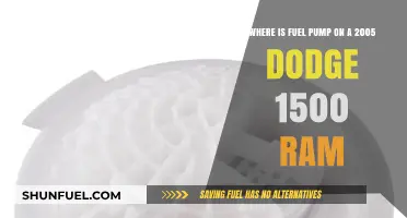 Locate the Fuel Pump in Your 2005 Dodge Ram 1500
