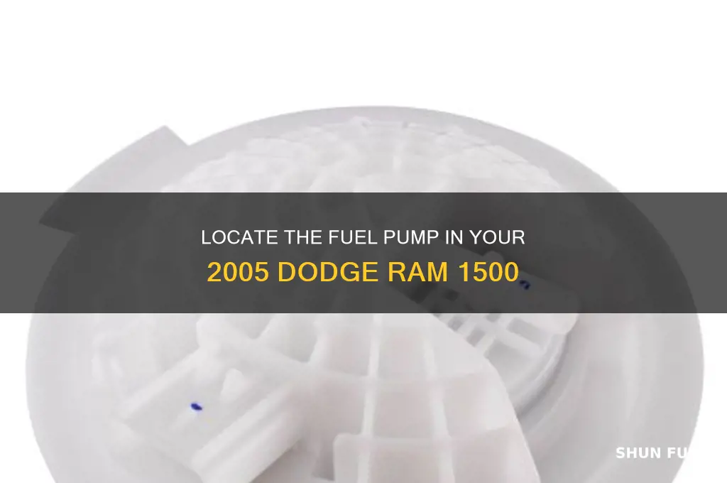 where is fuel pump on a 2005 dodge 1500 ram