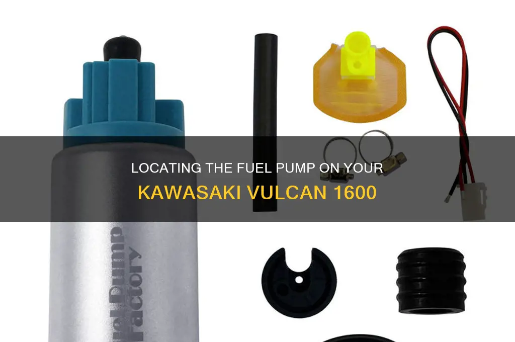 where is fuel pump on a kawasaki vulcan 1600