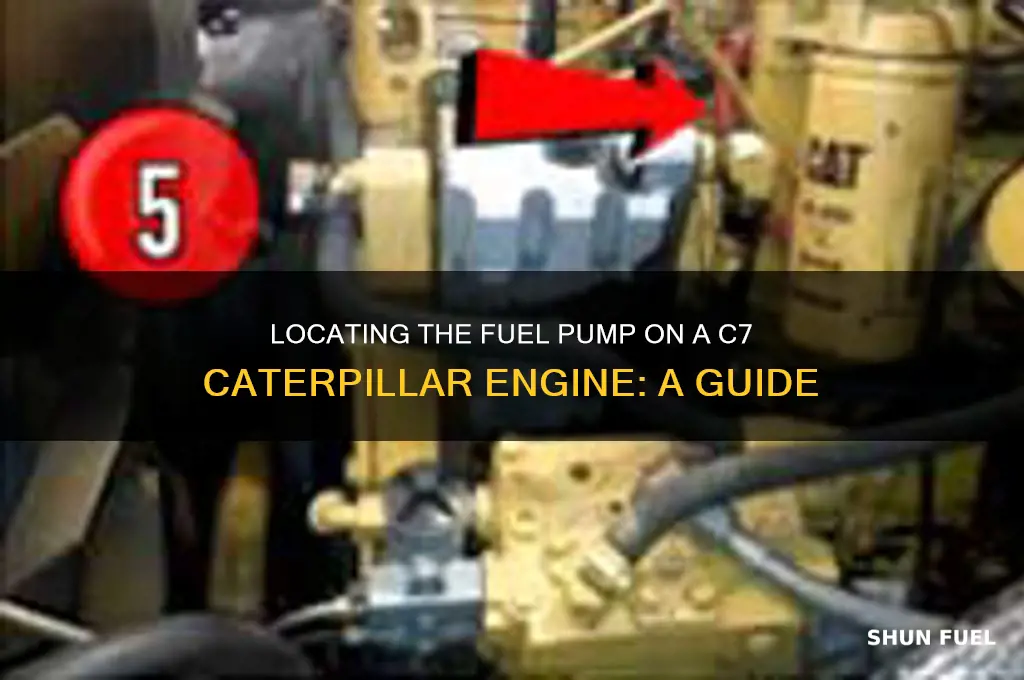 where is fuel pump on c7 cat