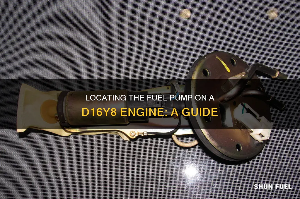 where is fuel pump on d16y8