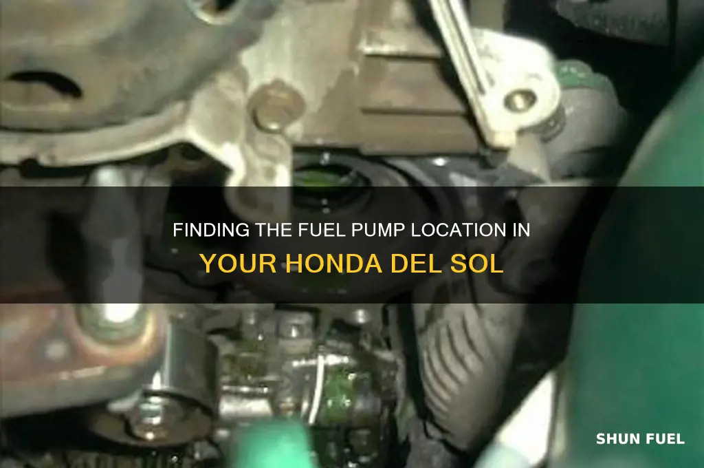where is fuel pump on del sol located