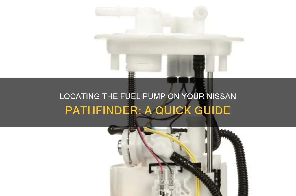 where is fuel pump on path finder
