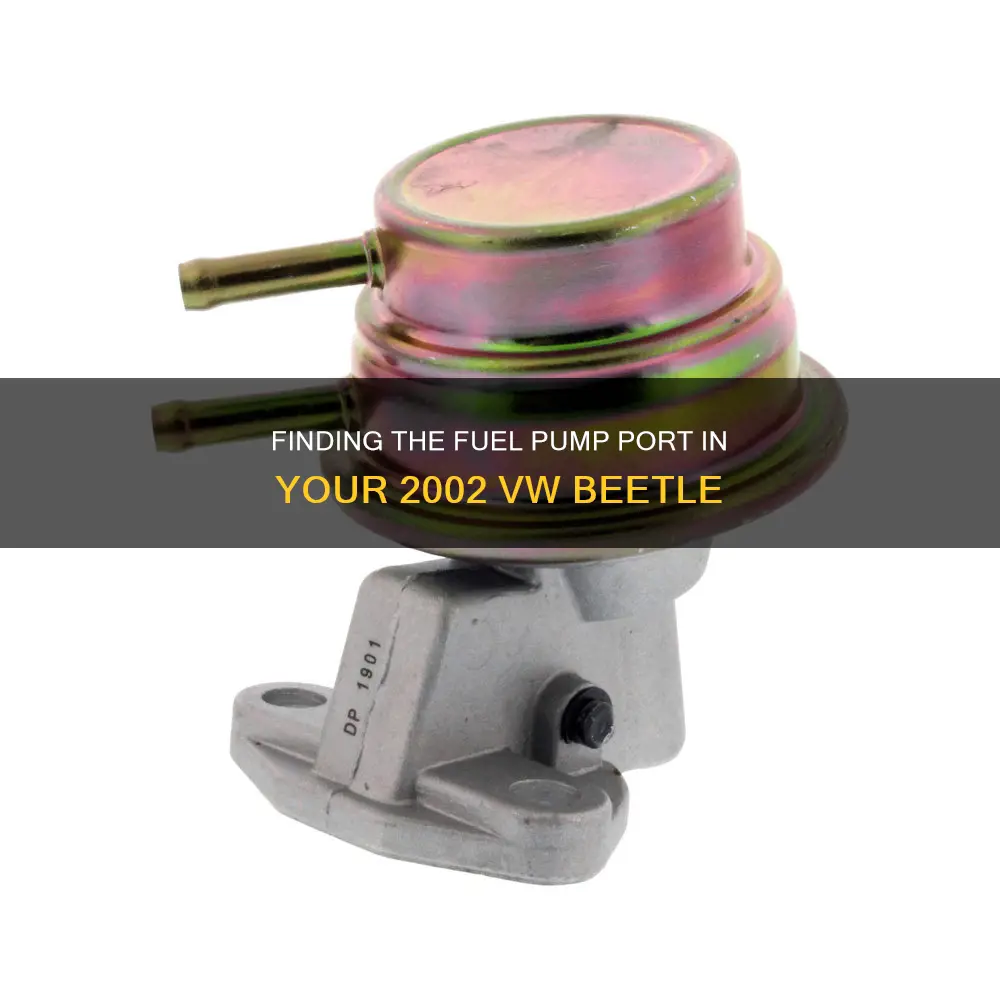 where is fuel pump port to pressure 2002 vw beetle