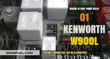 Locating the Fuel Pump Relay in a 2001 Kenworth W900L