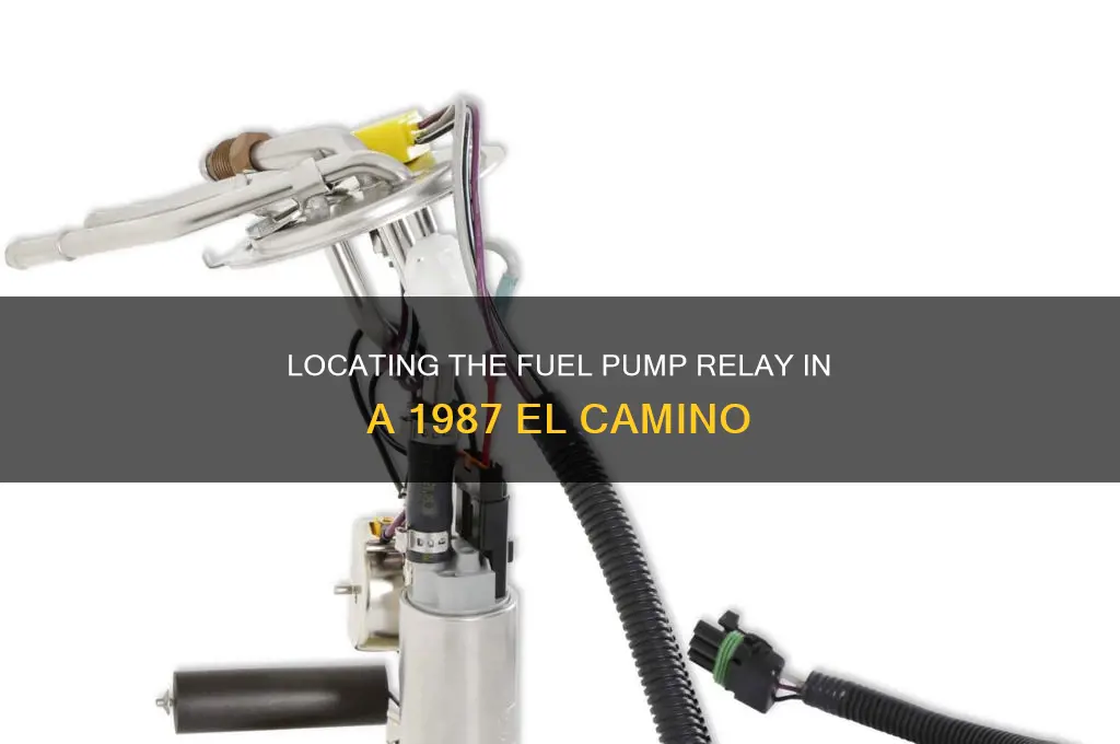 where is fuel pump relay 1987 el camino