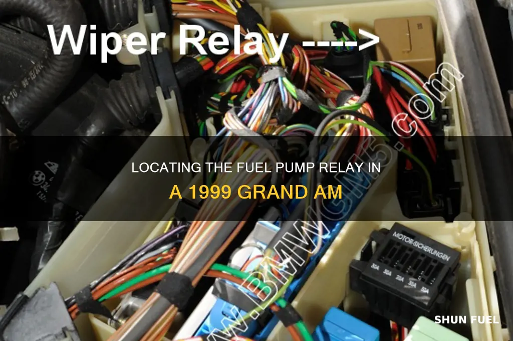 where is fuel pump relay 99 grand am