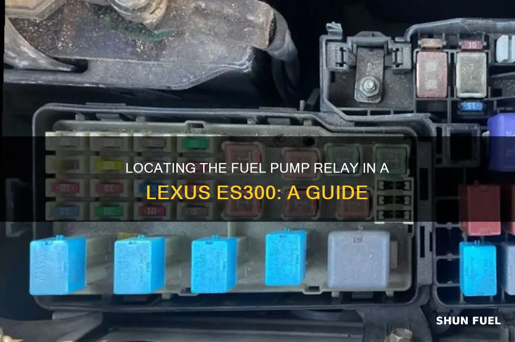 where is fuel pump relay for lexus es300