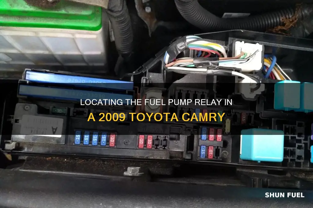 where is fuel pump relay in 2009 toyota camry