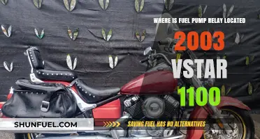 Locate the Fuel Pump Relay on a 2003 VStar 1100
