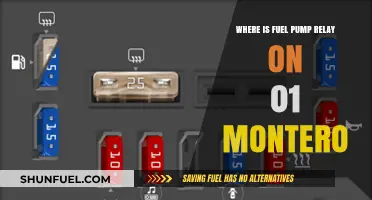 Locate the Fuel Pump Relay in Your 2001 Montero Easily