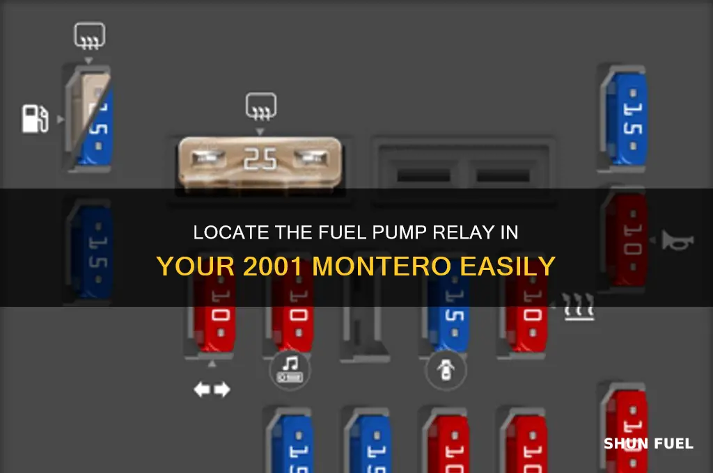 where is fuel pump relay on 01 montero
