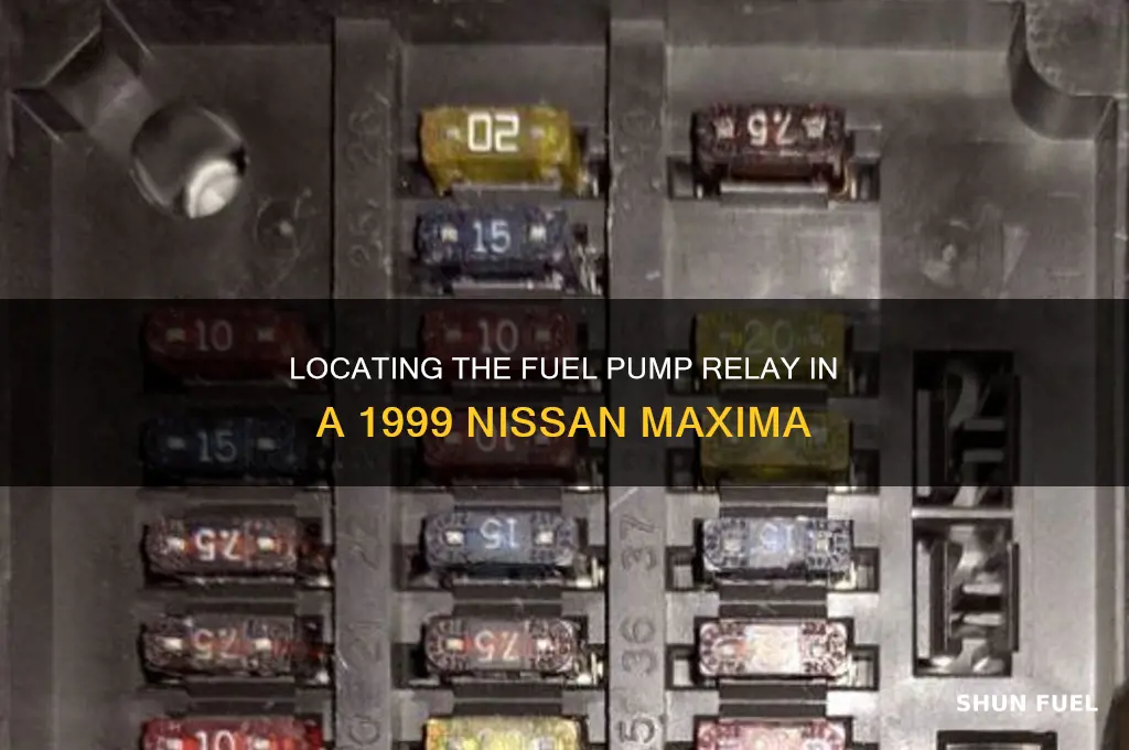where is fuel pump relay on 1999 nossan maxima