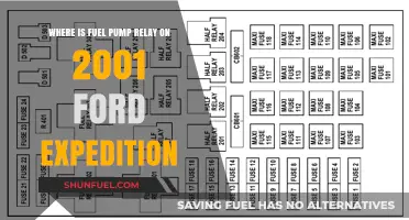 Locate the Fuel Pump Relay in Your 2001 Ford Expedition