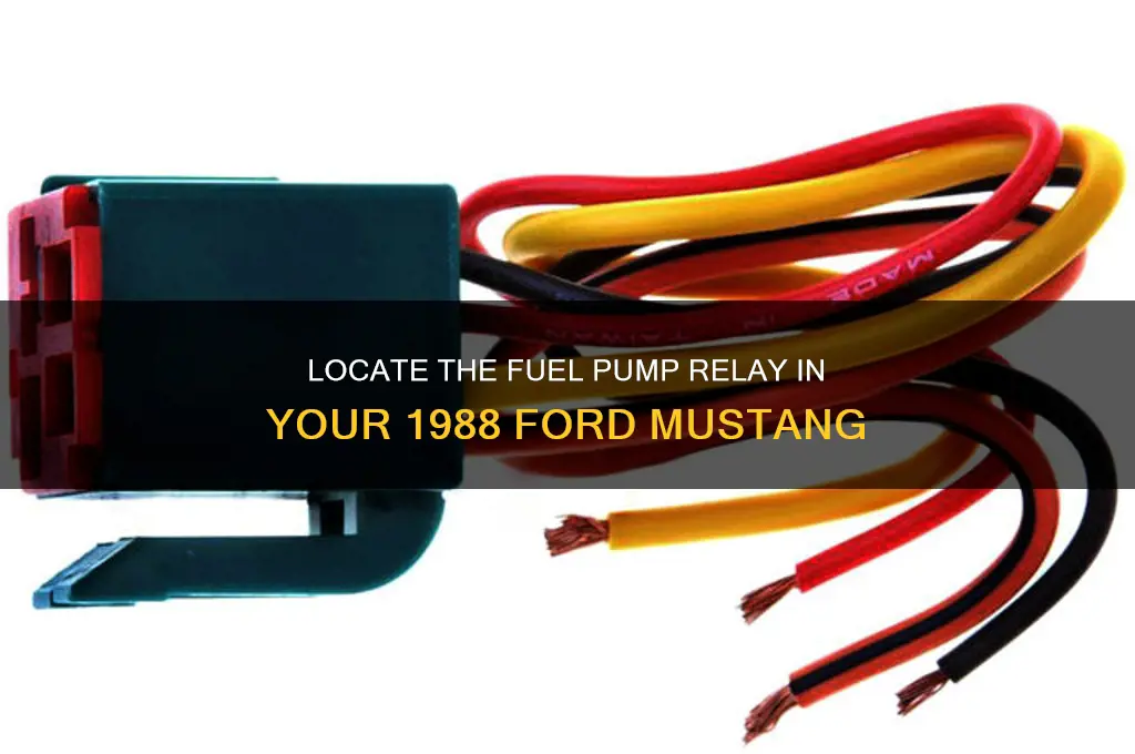 where is fuel pump relay on a 88 mustang