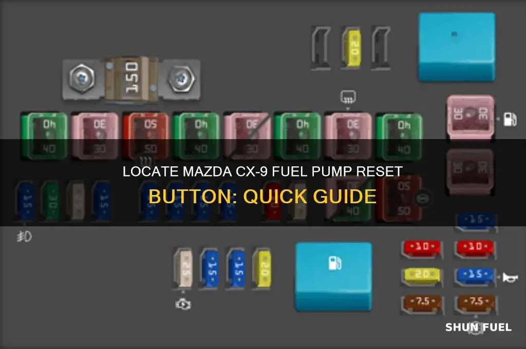 where is fuel pump reset mazda cx 9