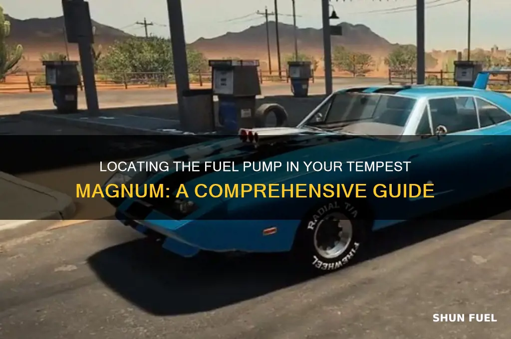 where is fuel pump tempest magnum