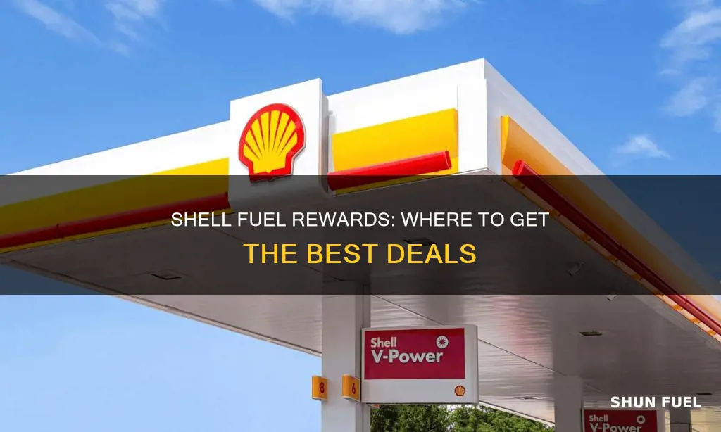 where is fuel reward line in shell station