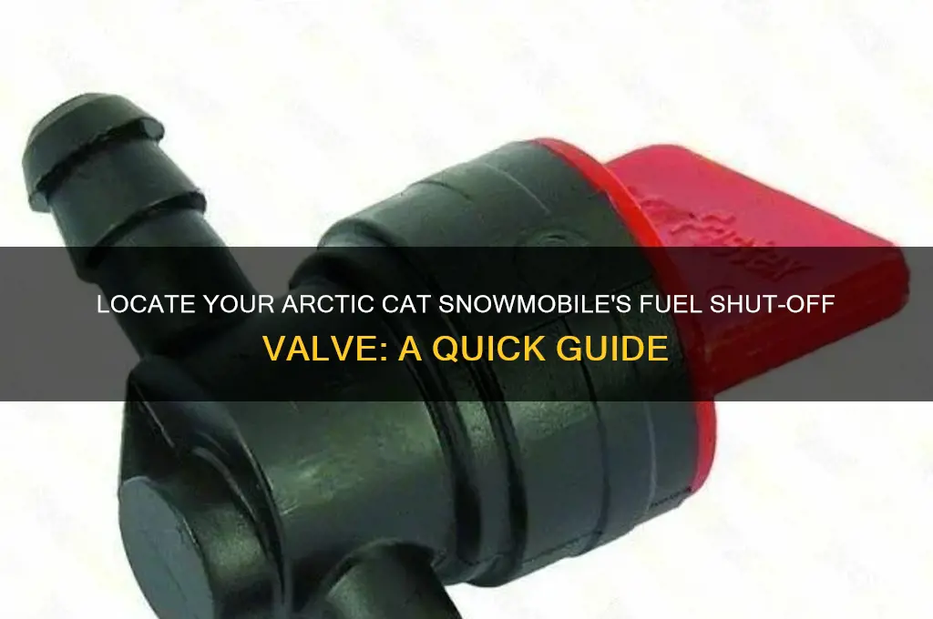 where is fuel shut off valve on arctic can snowmobile