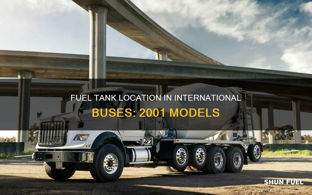 where is fuel tank international bus 2001