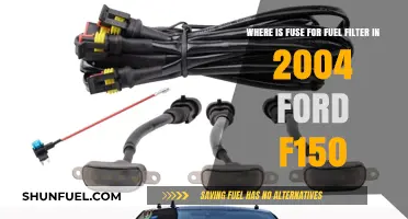 Locating the Fuel Filter Fuse in a 2004 Ford F150