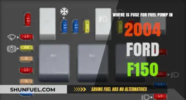 Locate the Fuel Pump Fuse in Your 2004 Ford F150