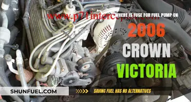 Locating the Fuel Pump Fuse in a 2006 Crown Victoria